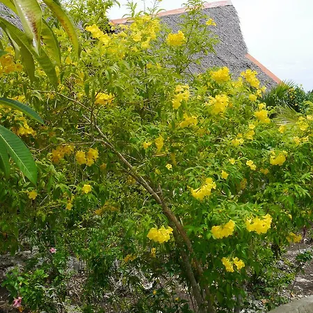 Moalboal T Breeze Coastal Resort Exterior photo