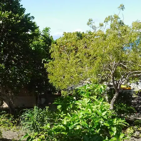 Moalboal T Breeze Coastal Resort Exterior photo